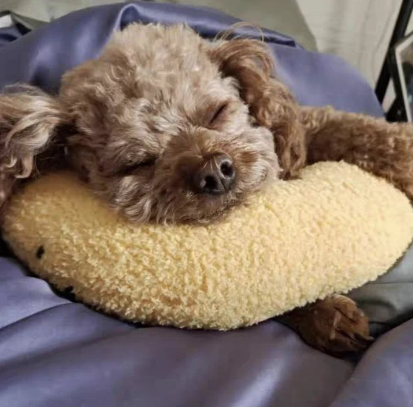 Cute Purr Chin Pillow